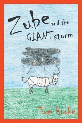Tom Hooke - Zube and the Giant Storm, Häftad. Tillgänglighet: Lägg i varukorg