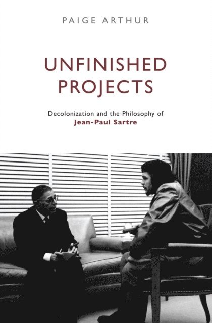 Paige Arthur - Unfinished Projects, E-bok