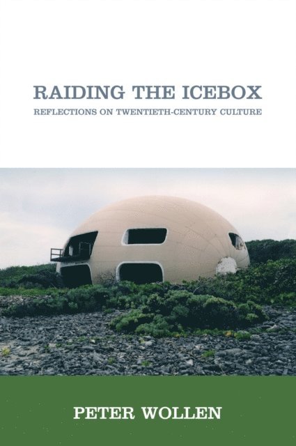 Peter Wollen - Raiding the Icebox, E-bok