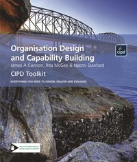 Organisation Design and Capability Building