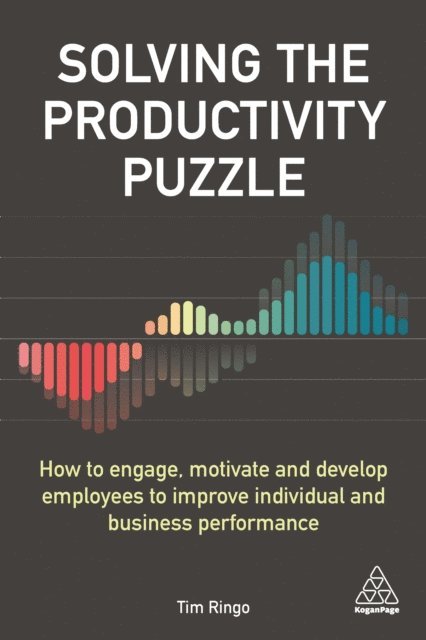 Tim Ringo - Solving the Productivity Puzzle, E-bok