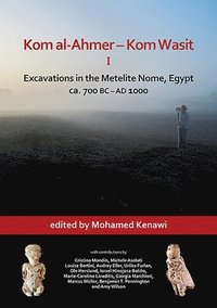 Kom al-Ahmer  Kom Wasit I: Excavations in the Metelite Nome, Egypt