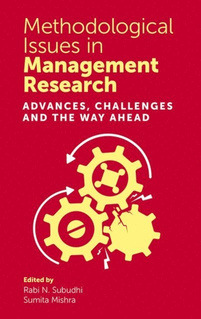 Sumita Mishra, Rabi N. Subudhi - Methodological Issues in Management Research, E-bok