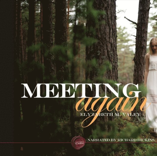 Elyzabeth M VaLey - Meeting Again, Ljudbok
