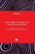 Visual Object Tracking with Deep Neural Networks