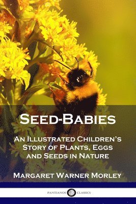 Margaret Warner Morley - Seed-Babies, Häftad
