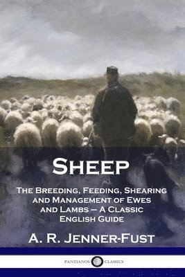 A R Jenner-Fust - Sheep, Häftad. Tillgänglighet: Lägg i varukorg