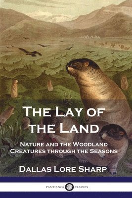 Dallas Lore Sharp - Lay of the Land, Häftad
