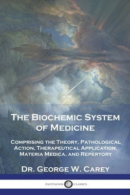 George W Carey - Biochemic System of Medicine, Häftad