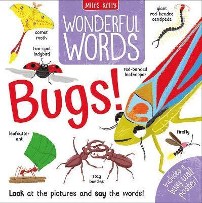 Amy Johnson - Wonderful Words: Bugs!, Inbunden