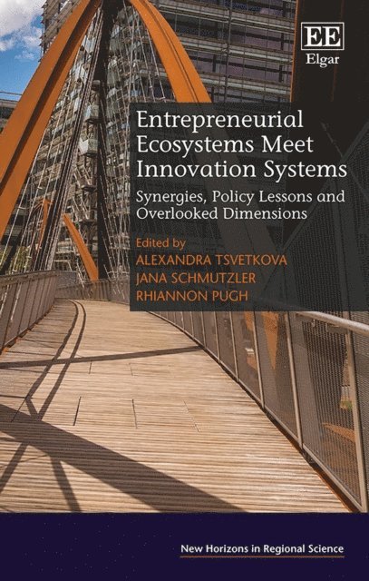 Rhiannon Pugh, Jana Schmutzler, Alexandra Tsvetkova - Entrepreneurial Ecosystems Meet Innovation Systems, E-bok