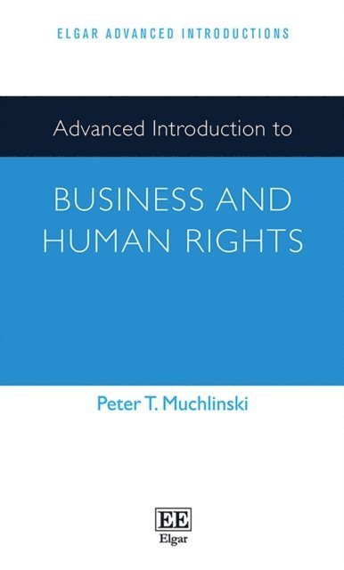 Peter T. Muchlinski - Advanced Introduction to Business and Human Rights, E-bok