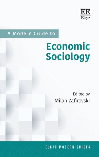 Milan Zafirovski - Modern Guide to Economic Sociology, E-bok