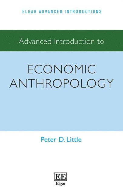 Peter D. Little - Advanced Introduction to Economic Anthropology, E-bok
