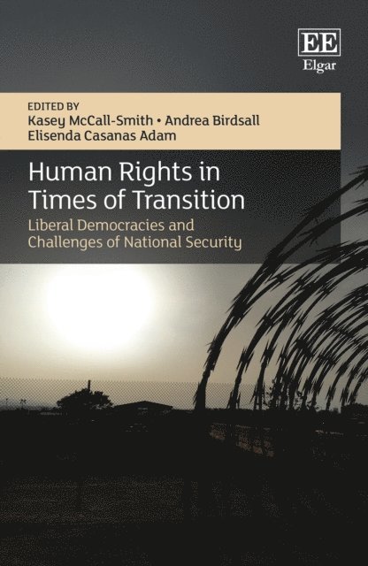 Elisenda Casanas Adam, Andrea Birdsall, Kasey McCall-Smith - Human Rights in Times of Transition, E-bok