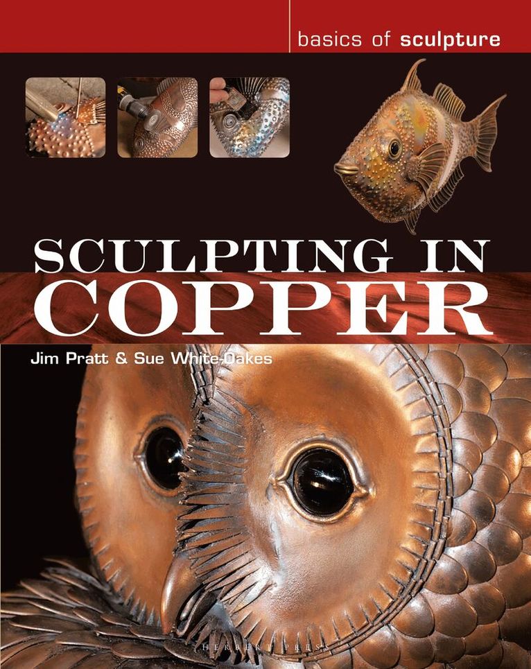 Jim Pratt, Susan White-Oakes - Sculpting in Copper, Häftad