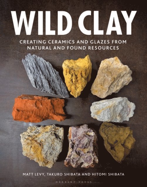 Matt Levy, Takuro Shibata, Hitomi Shibata - Wild Clay, E-bok