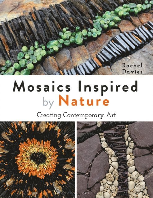 Rachel Davies - Mosaics Inspired by Nature, E-bok