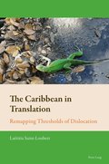 Caribbean in Translation