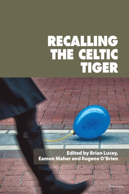 Lucey Brian Lucey, O'Brien Eugene O'Brien, Maher Eamon Maher - Recalling the Celtic Tiger, E-bok