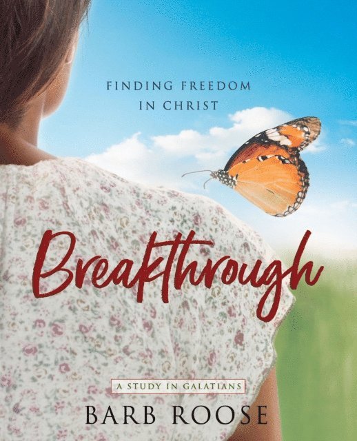 Barb Roose - Breakthrough - Women's Bible Study Participant Workbook, E-bok