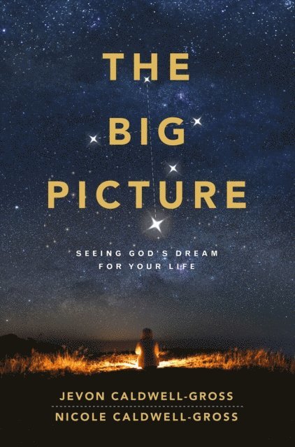 Jevon Caldwell-Gross, Nicole Caldwell-Gross - Big Picture, E-bok