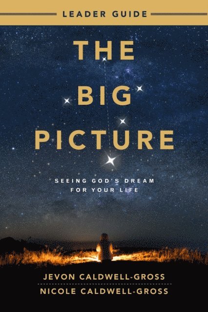 Jevon Caldwell-Gross, Nicole Caldwell-Gross - Big Picture Leader Guide, E-bok