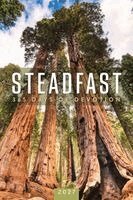 Abingdon Press - Steadfast 2027, Häftad