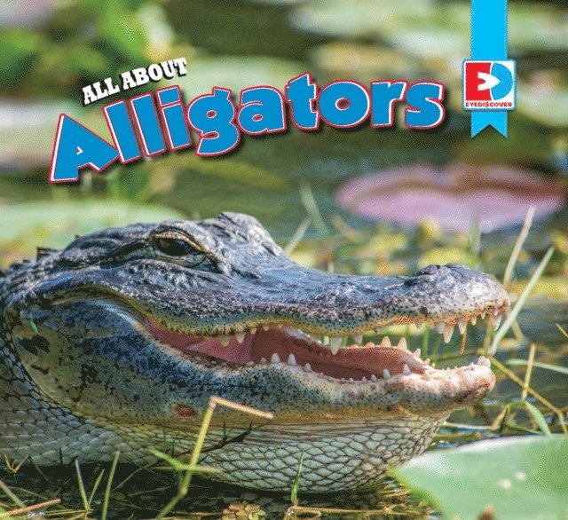 Candice Letkeman - All About Alligators, E-bok. Tillgänglighet: Lägg i varukorg