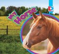My Horse