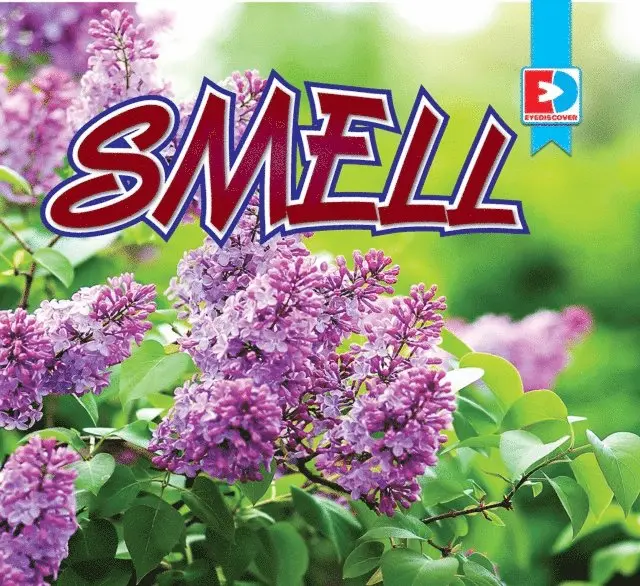 Sara Cucini - Smell, E-bok. Tillgänglighet: Lägg i varukorg