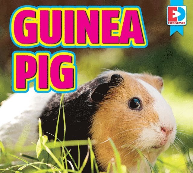 Renae Gilles - Guinea Pigs, E-bok. Tillgänglighet: Lägg i varukorg