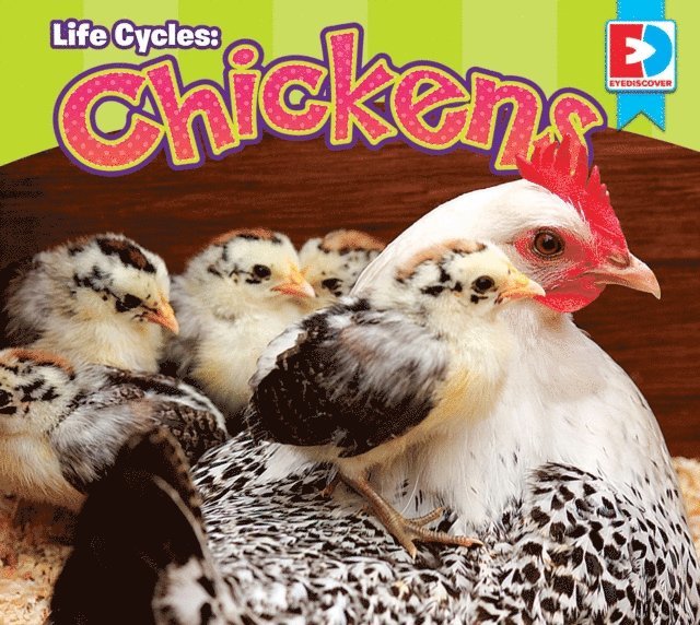 Maria Koran - Life Cycles: Chickens, E-bok. Tillgänglighet: Lägg i varukorg