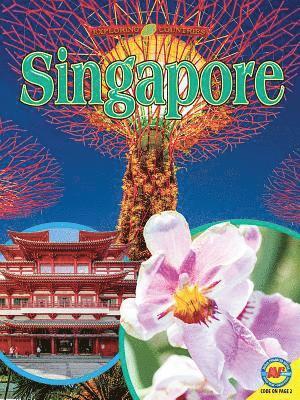 John Perritano - Singapore, Häftad