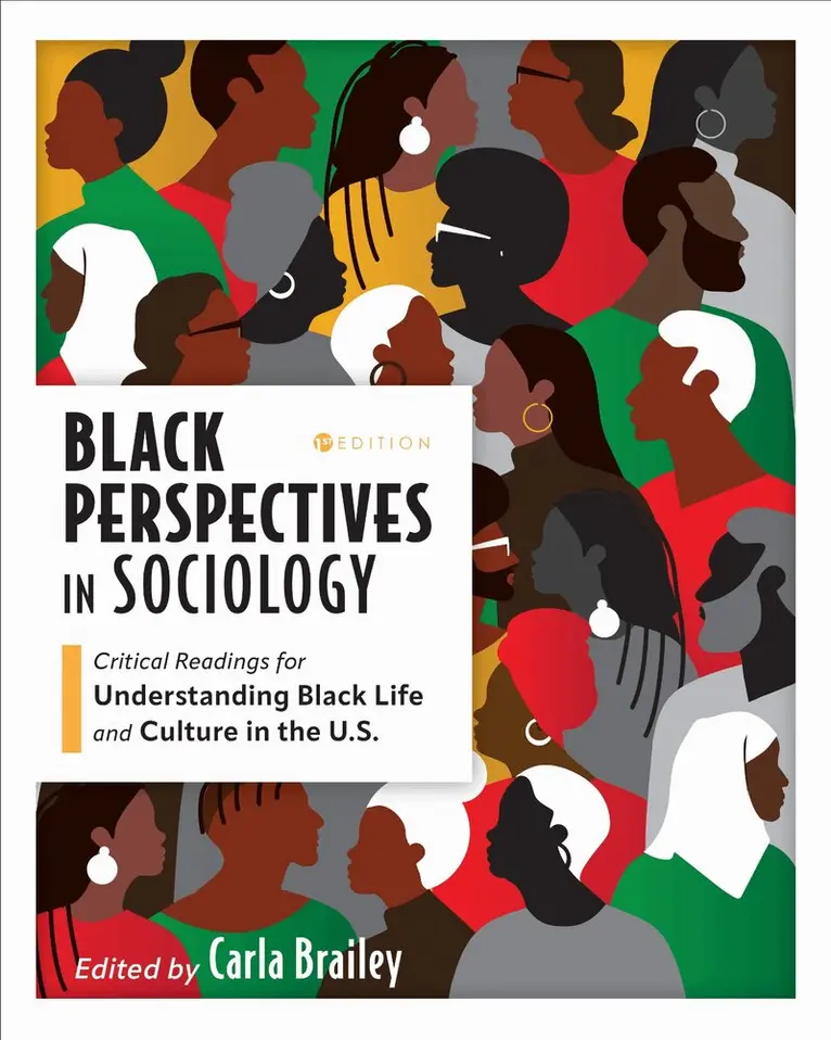 Carla Brailey, Carla Brailey - Black Perspectives in Sociology, Häftad. Tillgänglighet: Lägg i varukorg