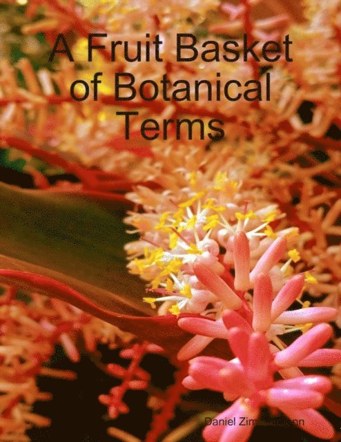 Fruit Basket of Botanical Terms
