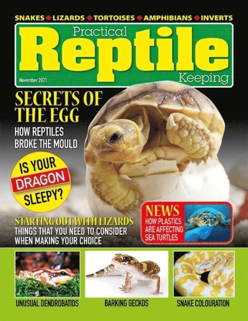 David Alderton - Practical Reptile Keeping - November 2021, E-bok