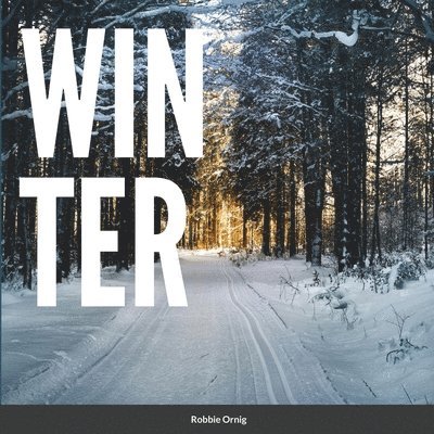 Robbii Ornig - Winter, Häftad. Tillgänglighet: Lägg i varukorg