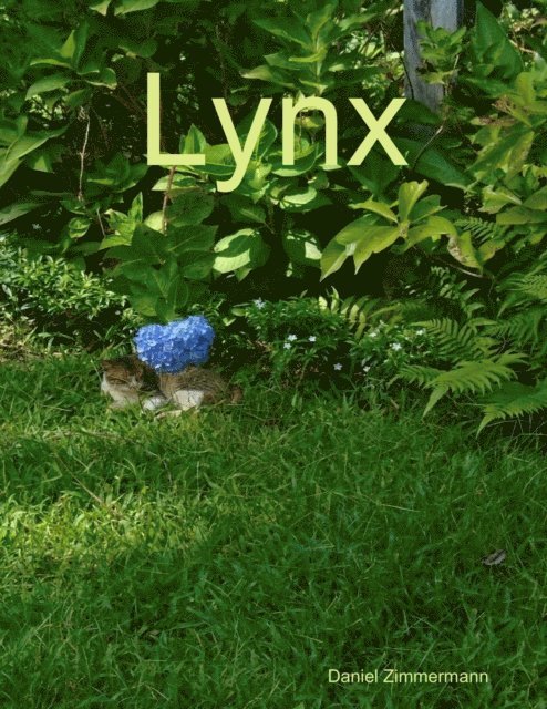 Lynx