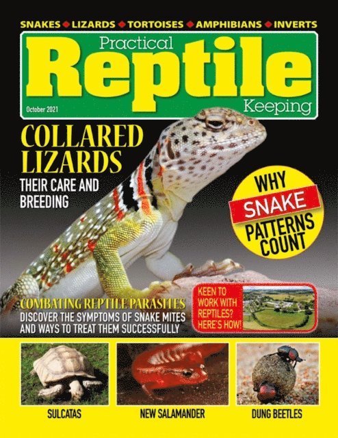 David Alderton - Practical Reptile Keeping - October 2021, E-bok