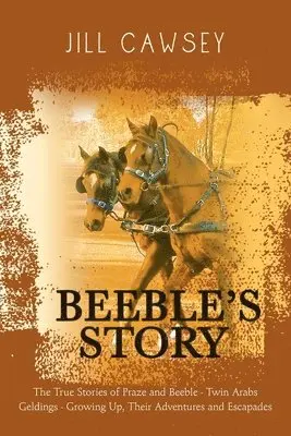 Jill Cawsey - Beeble's Story, Häftad. Tillgänglighet: Lägg i varukorg