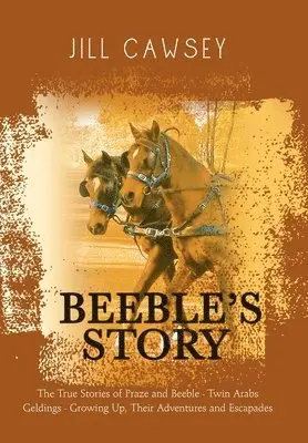 Jill Cawsey - Beeble's Story, Inbunden. Tillgänglighet: Lägg i varukorg