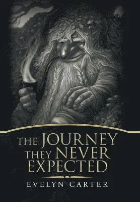 Evelyn Carter - Journey They Never Expected, Inbunden. Tillgänglighet: Lägg i varukorg