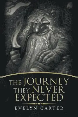 Evelyn Carter - Journey They Never Expected, Häftad. Tillgänglighet: Lägg i varukorg