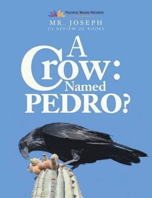 Mr Joseph - Crow Named Pedro, Häftad