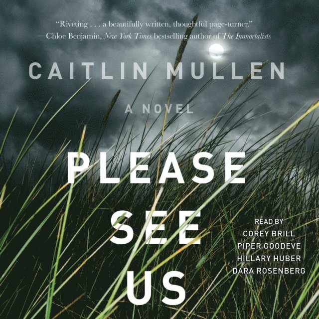 Caitlin Mullen - Please See Us, Ljudbok