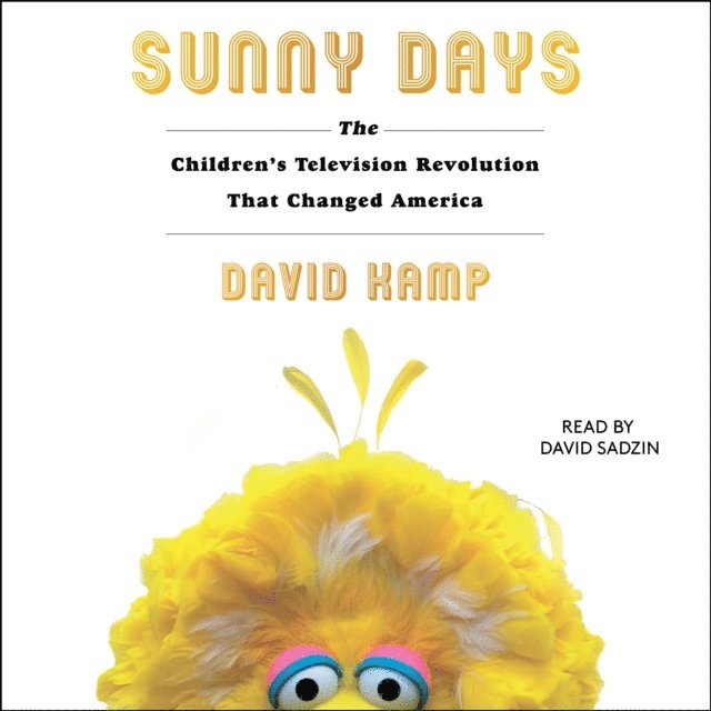 David Kamp - Sunny Days, Ljudbok