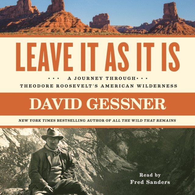 David Gessner - Leave It As It Is, Ljudbok