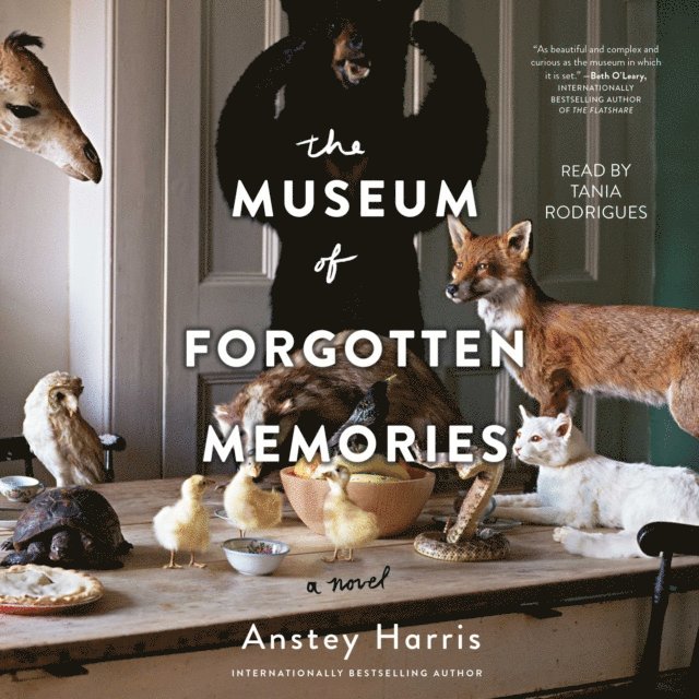 Anstey Harris - Museum of Forgotten Memories, Ljudbok
