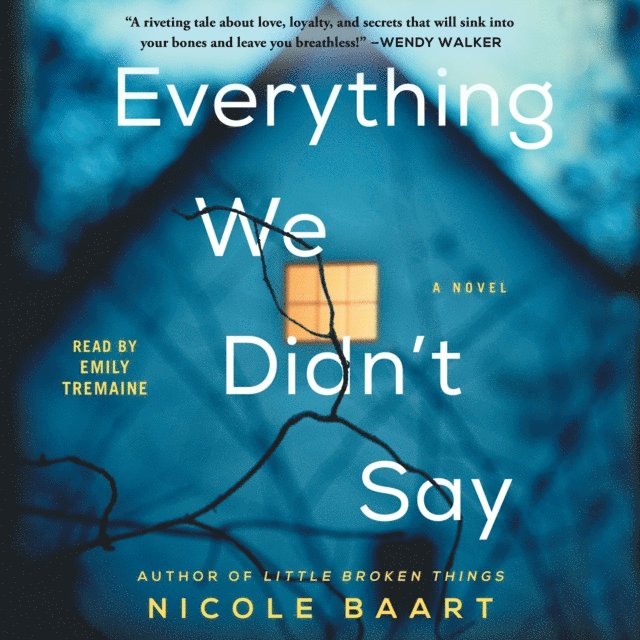 Nicole Baart - Everything We Didn't Say, Ljudbok